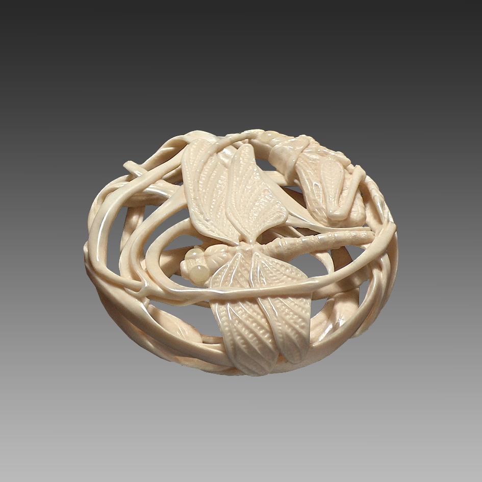 Dragonfly&Grasshopper4